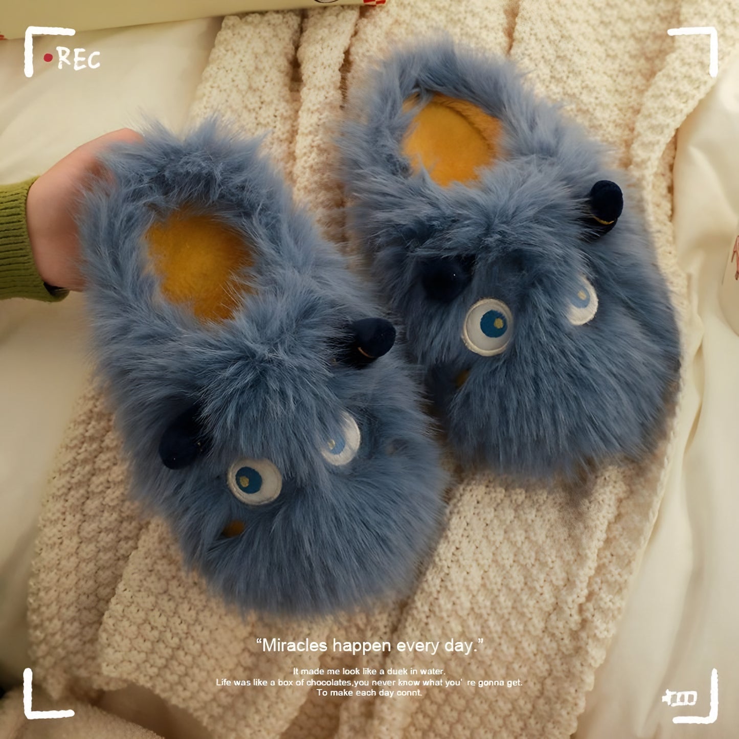 Slippers Monster