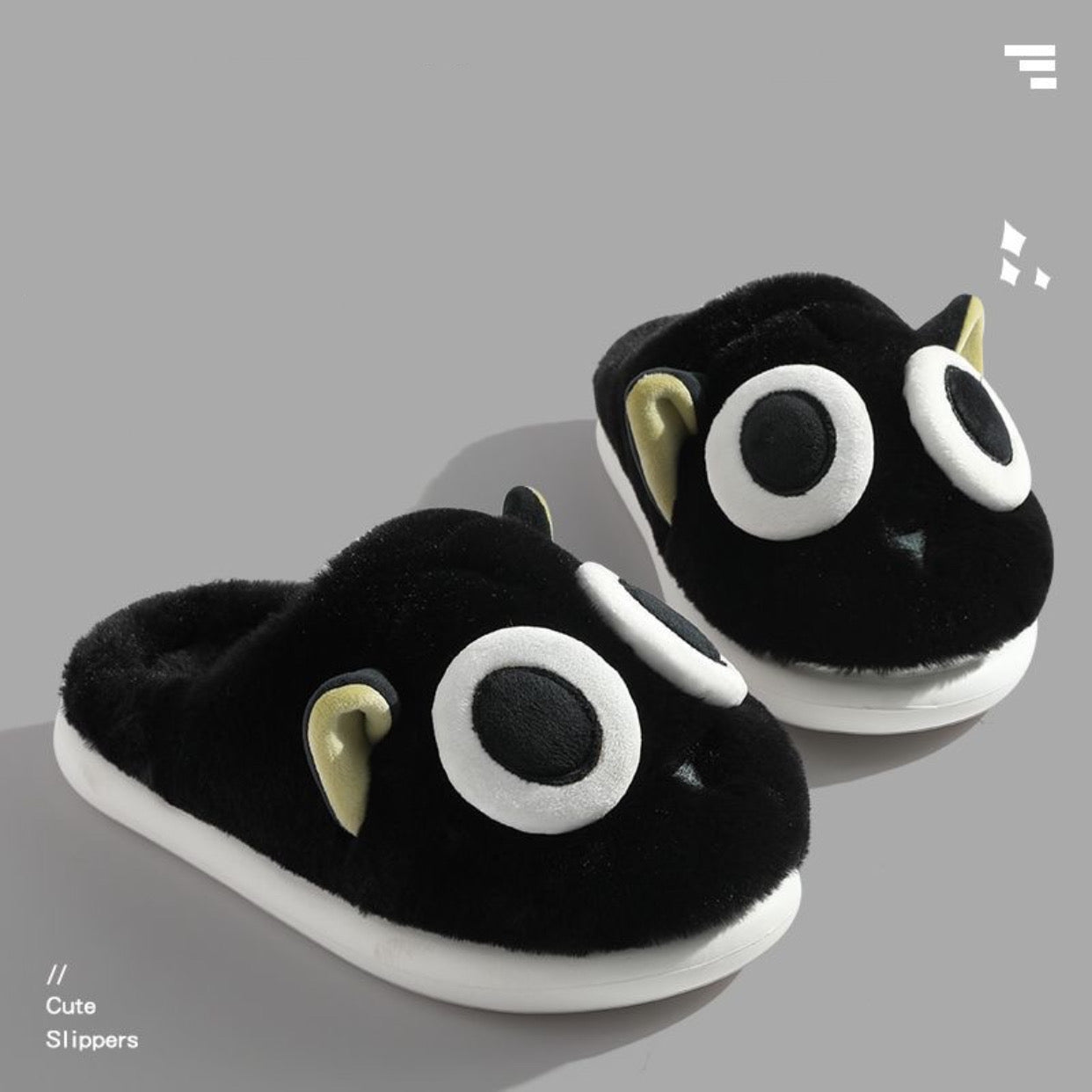 Slippers Cat