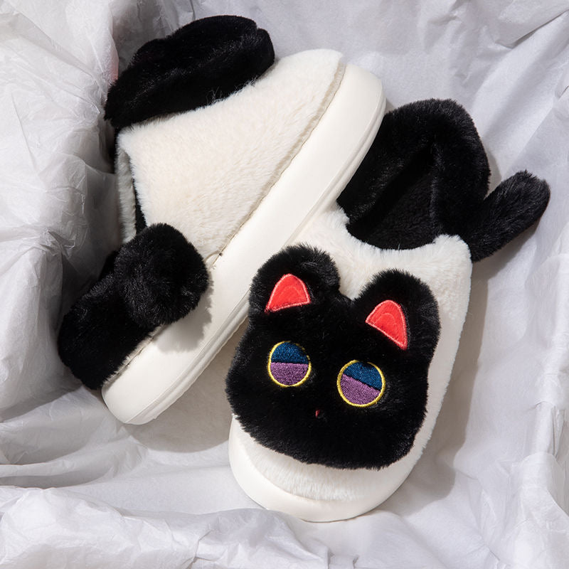 Slippers Cat