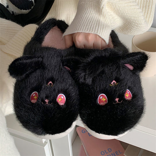 Slippers Cat